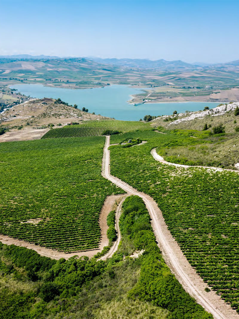 Menfi città del vino