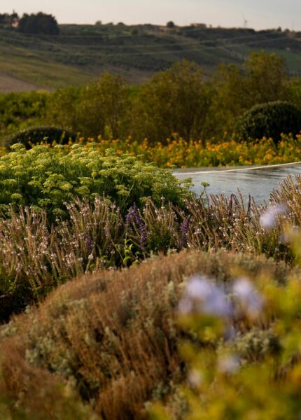 la-foresteria-giardino-piscina-esterni-ecoluxury